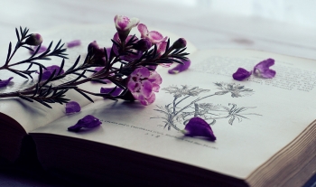 現在簡單式入門文法-用法句子結構大解密