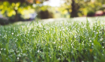 現在進行式入門文法-教你快速應用比較現在進行式與現在簡單式