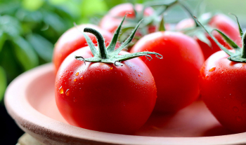 Much Many A lot of 用法一次搞懂