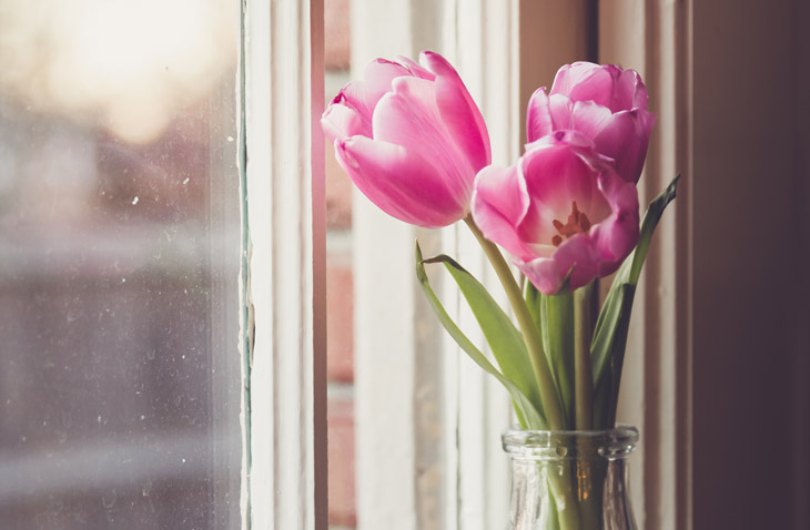 過去完成進行式與過去完成式的差別 