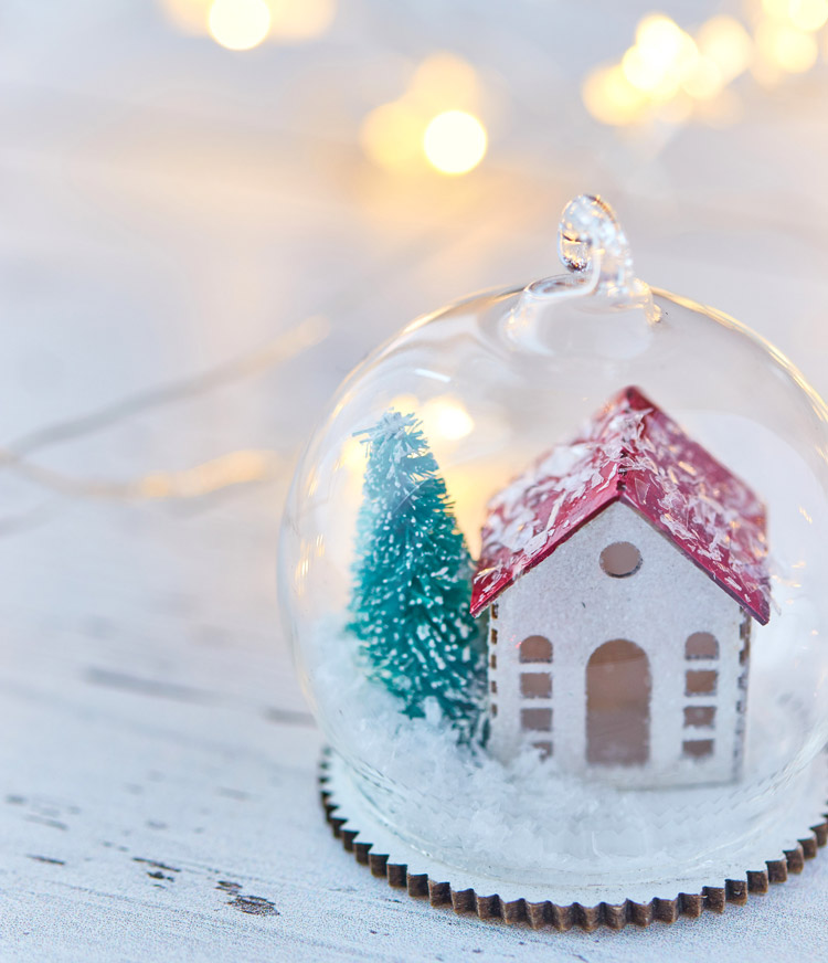 頻率副詞疑問句與答句