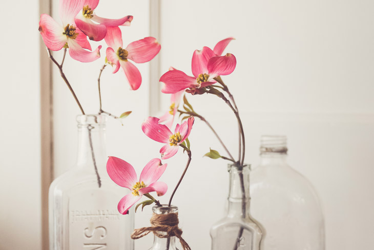 沒有被動式的動詞-不及物動詞