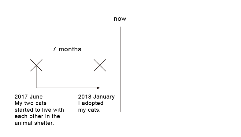 過去完成式例句與用法